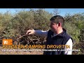 PESCA EN CAMPING DROVETTA - MARULL