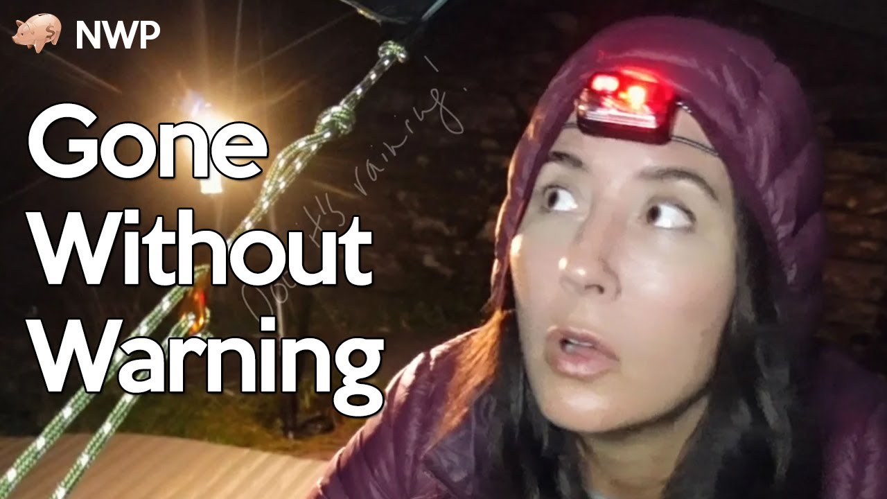 What happened to Claire WildBeare?