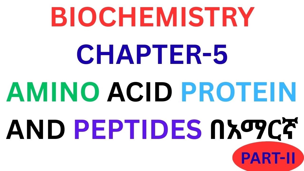 AMINO ACIDS, PEPTIDES & PROTEINS በአማርኛ PART-II/BIOCHEMISTRY CHAPTER-5 /#atomacademytube/#aminoacids