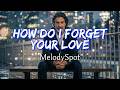 VOL 01 How Do I Forget Your Love MelodySpot AI Lip Sync Lyrics 