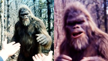 Skeptics Said the Talking Bigfoot Video Was AI… Until FBI Took Down