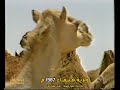 حياة البدوي ولاية هيماء 3 1987م تقديم سالم بن عوض النجار سلطنة ع مان 1987م