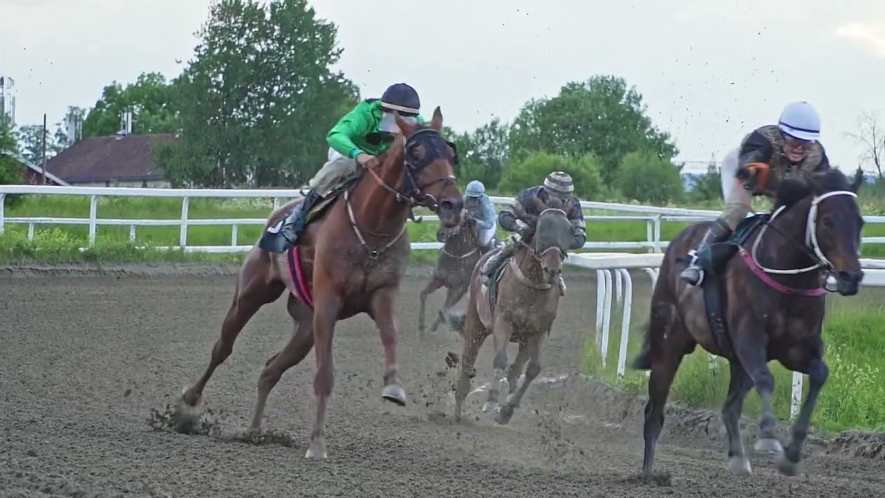 Øvrevoll Galoppbane / 05.06.2024 / 12:00 Cet / Race #5 / 1100Dt / Gameboy Handicap