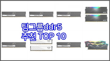 팀그룹ddr5 추천 완벽한 선택 가격, 품질, 구매량을 모두 고려한 상품 10가지