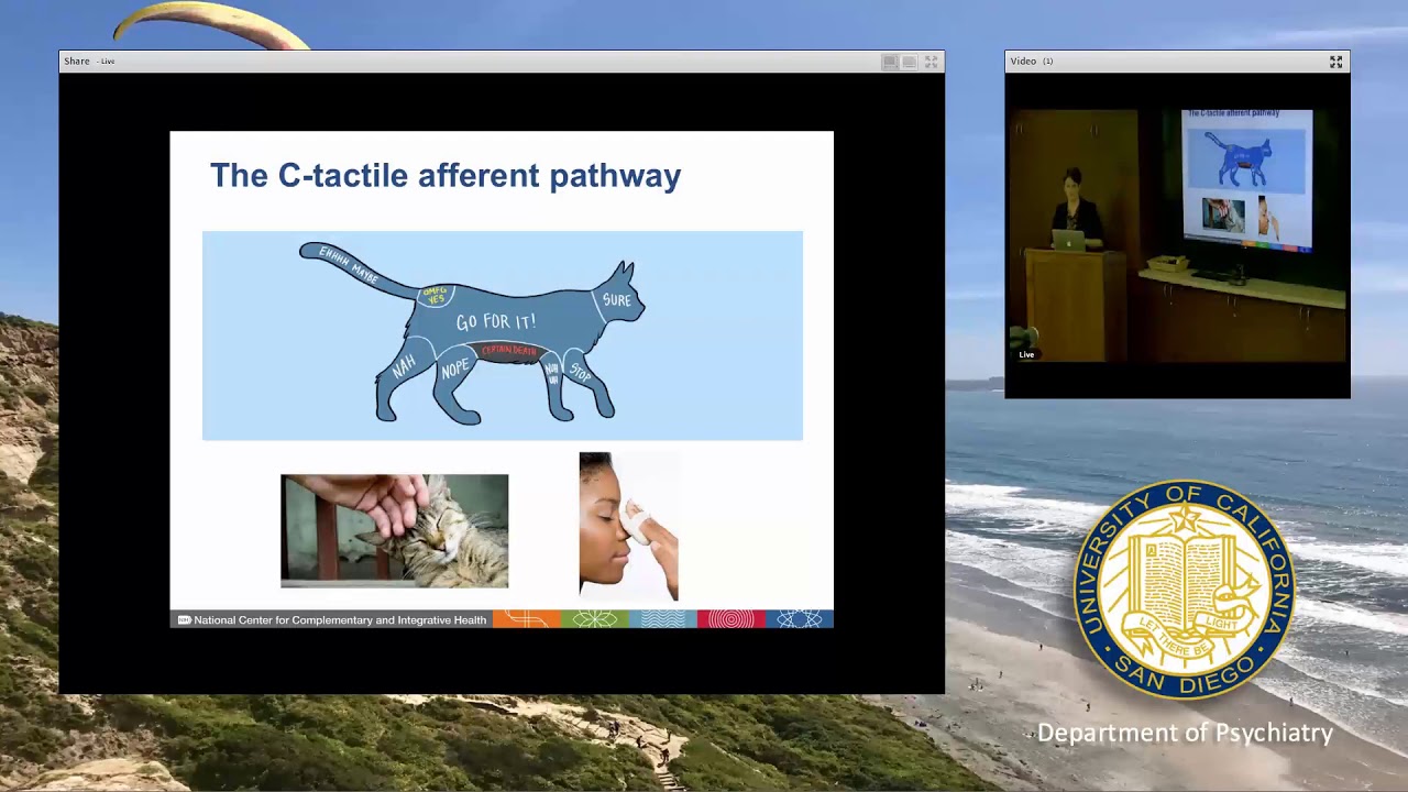 Markou Research Seminar Series Laura Case, PhD