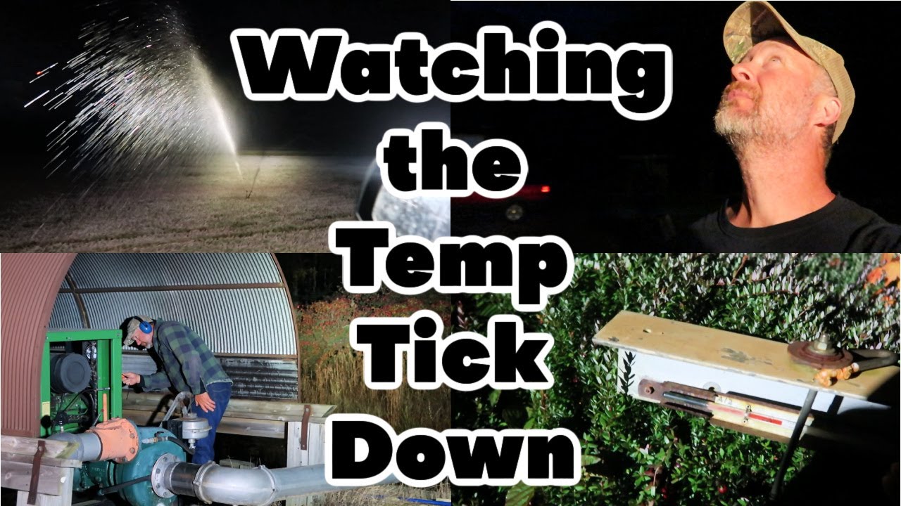 CRANBERRY HARVEST 2022 Midnight Frost Watch YouTube