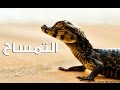 أجندة | السلسله الرهيبه أنا وحش الحلقة الثانية (التمساح) HD