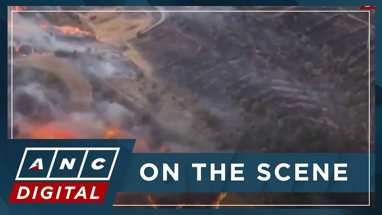 Two die in Catalonia wildfire as heatwave grips Europe | ANC