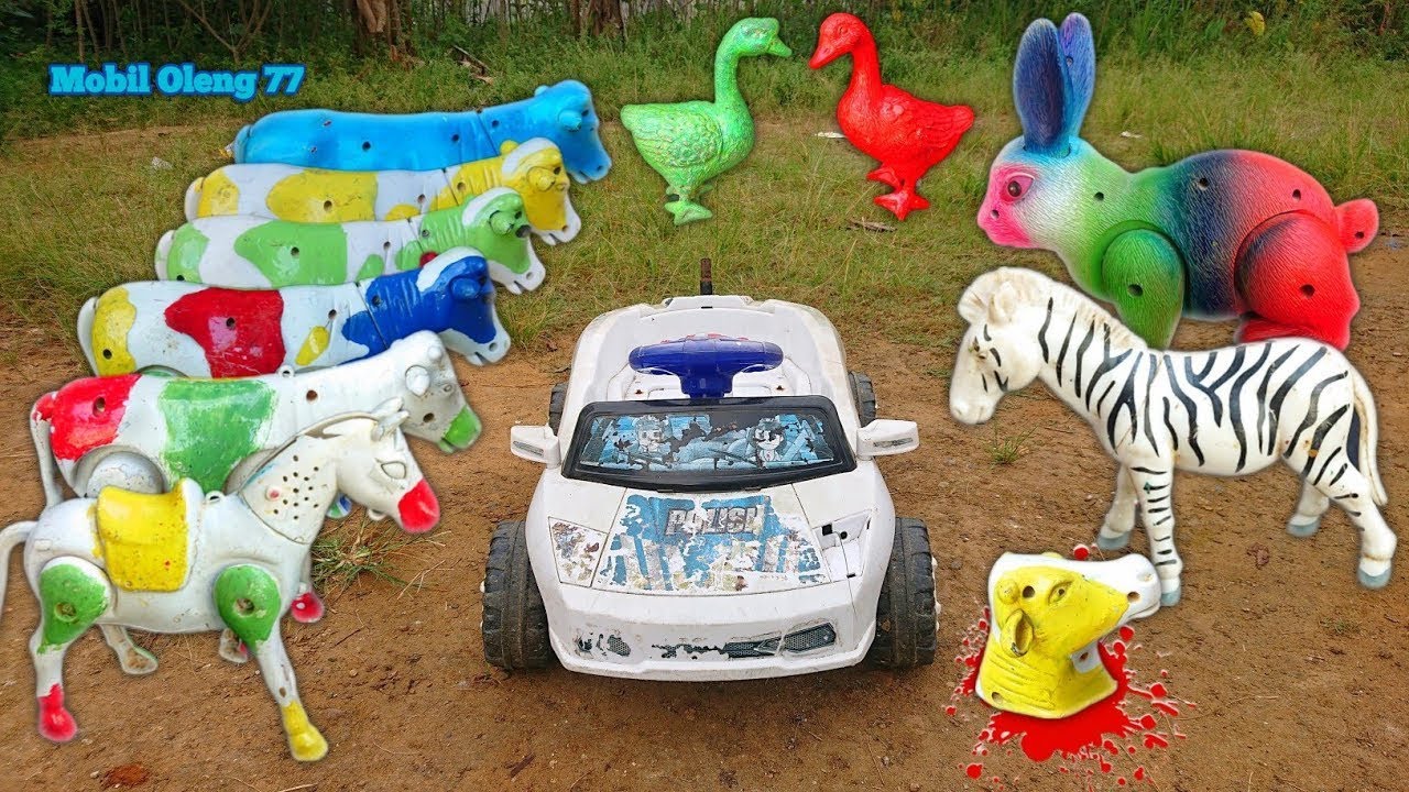 WADIDAW‼️ PROSES MENOLONG MENEMUKAN SAPI,KUDA,KELINCI, KERBAU DLL