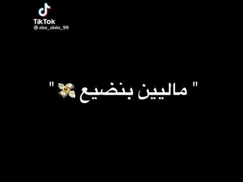 مهرجان امبابه الجديد