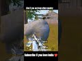 m249 😱#Shorts #shortsfeed #shortsvideo #youtubeshorts