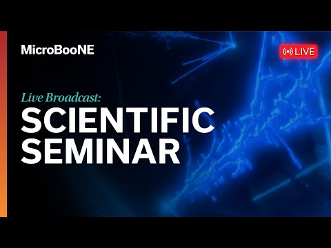 Scientific Seminar: MicroBooNE finds no evidence for a single sterile neutrino