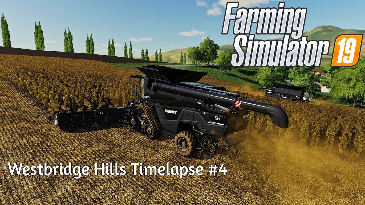Fertilizing And Harvesting Sunflowers Westbridge Hills 4 FS19