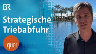 querSchlussrunde – Politisch strategische Triebabfuhr mit Robert