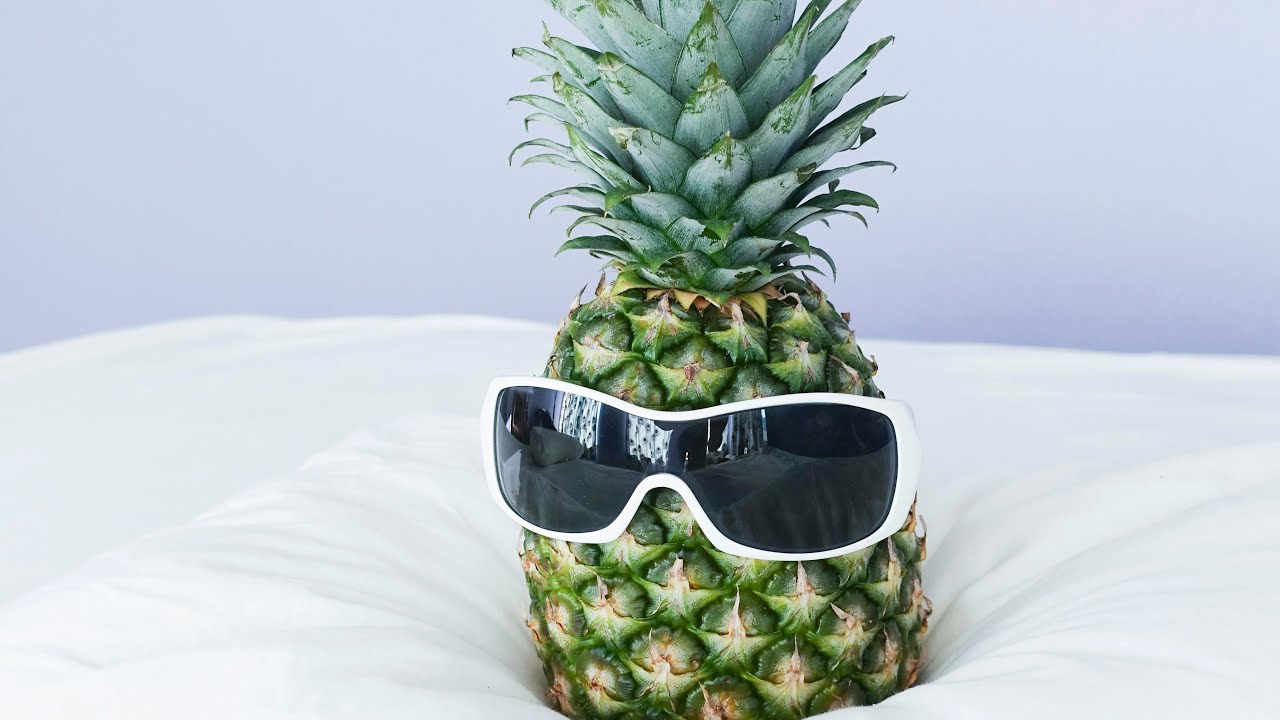 funny and motivational memes 