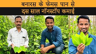 महीने मैं 6 लाख पान की कमाई | Banarasi Paan Organic Farming | Indian Farmer