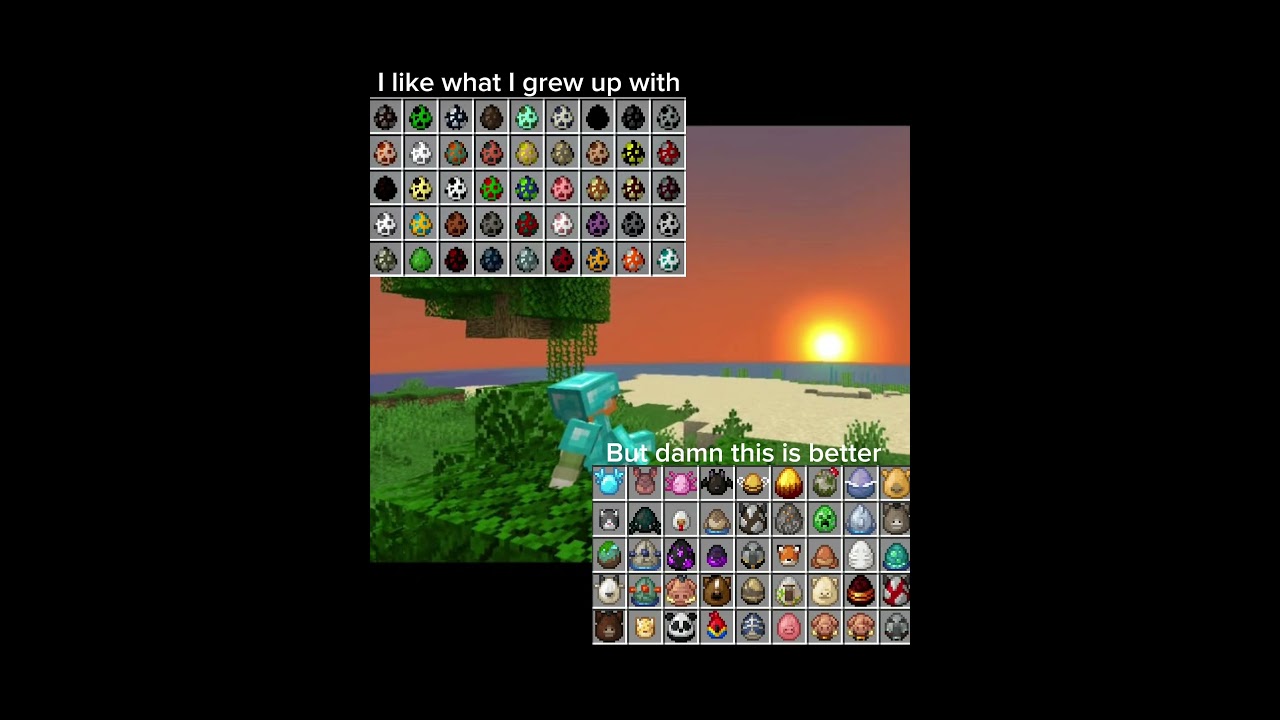 Minecraft 1.25 update