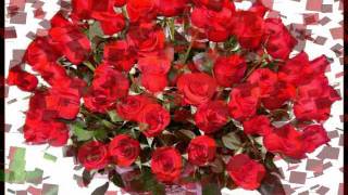 Doce Rosas - Lorenzo Antonio