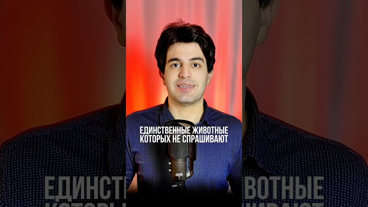 Личиночно-хордовые асцидии аппендикулярии: неподвижные фильтраторы и их активные личинки