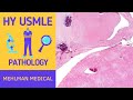 HY USMLE PATHOLOGY - # 246