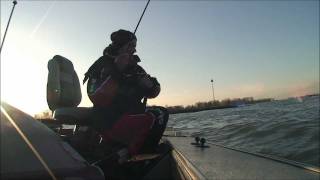 :: Fox Rage TV :: Pro Shad Firetails