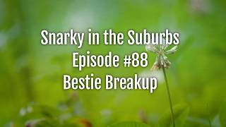 Snarky in the Suburbs Episode #88: Bestie Breakup