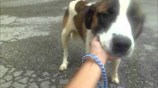 Edwin Rescued