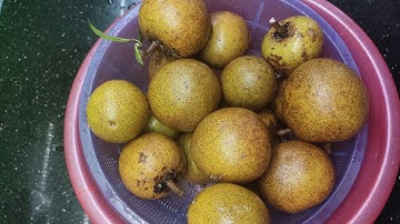 CÁCH DẤM HỒNG XIÊM CHÍN ĐỀU VÀNG NGỌT THƠM KHÔNG SƯỢNG