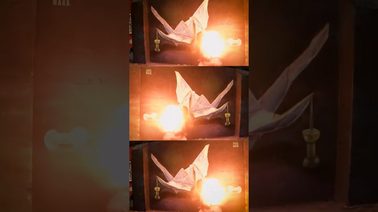 Chief Origami Crane Whisperer 