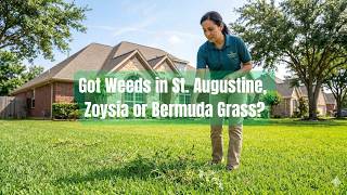 Spring Fertilizer Spotlight: Nitro-Phos Weed & Feed 15-5-10 with Trimec