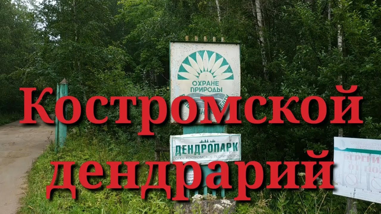 Дендропарк кострома карта