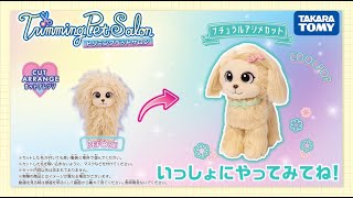 【トリミングペットサロン】　いっしょにカットアレンジしてみよう！～ナチュラルアシメカット～