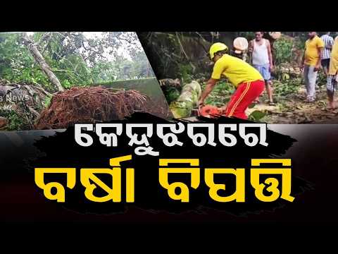 Heavy Rain In Keonjhar: Huge Tree Falls On Road In Ghatagaon, School Wall Damaged | Argus News