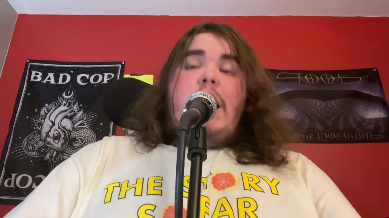 Citizen - Death Dance Approximately cover