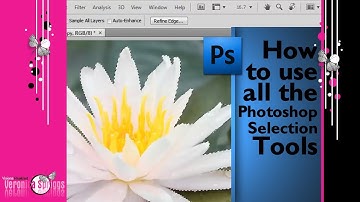 Digital Scrapbooking Tutorial - How To Use Photoshop Selection Tools