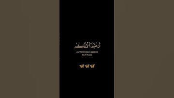 سورة الحجرات / القارئ احمد النفيس / تلاوة خاشعة تريح سمعك