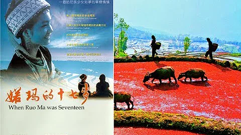 When Ruo Ma Was Seventeen 诺玛的十七岁 - DayDayNews