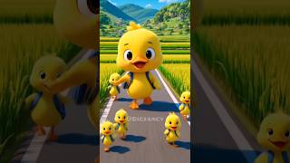 Duckling Siblings Walk To School Cutest Moment Ever