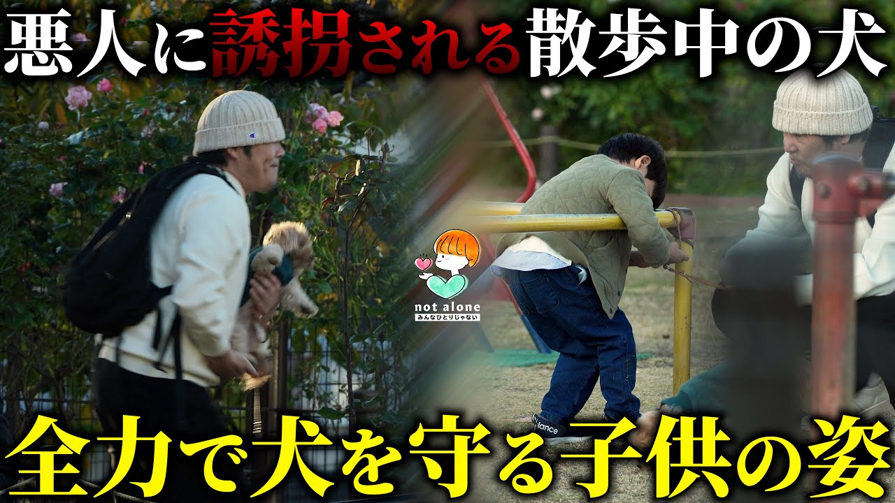 Незнакомец пытается украсть собаку другого человека, остановят ли его люди?