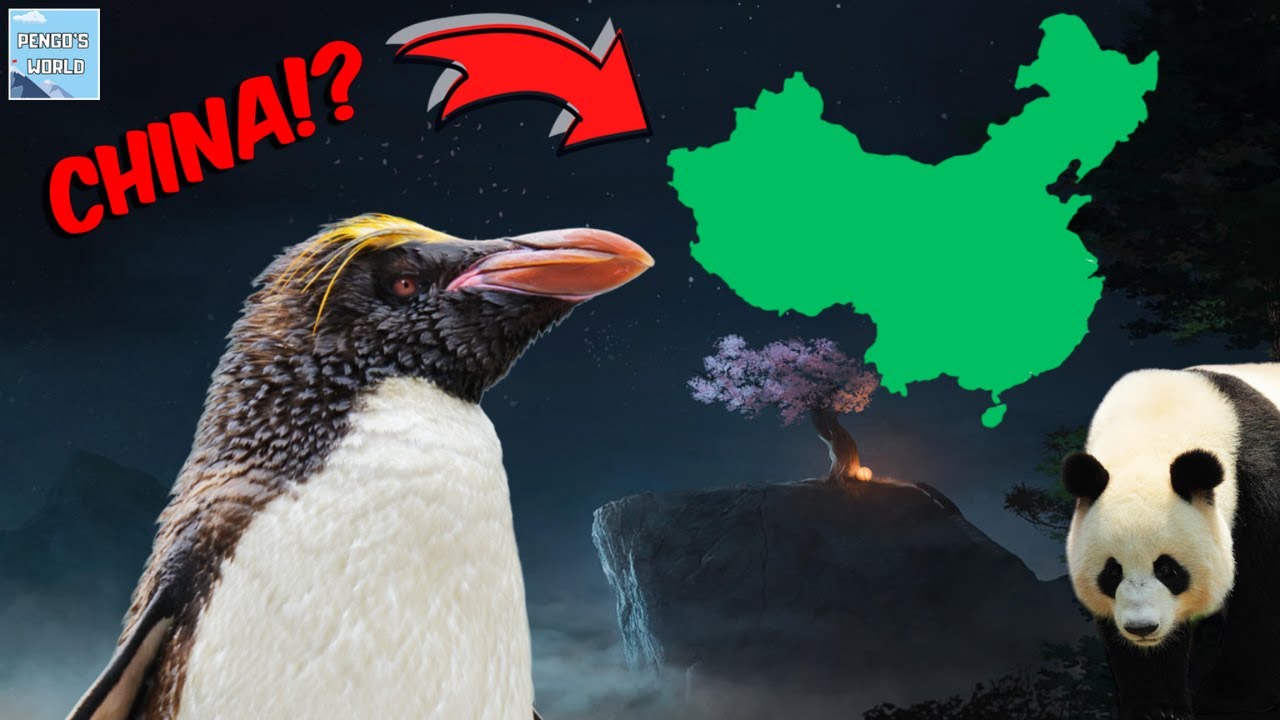 Pengo's World - Trip To China!