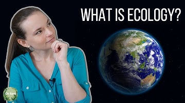 What is Ecology?