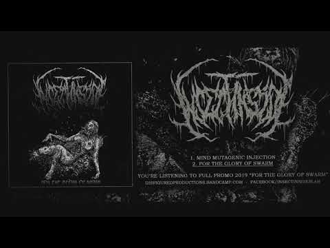 INSECT INSIDE - FOR THE GLORY OF SWARM (FULL PROMO 2019)