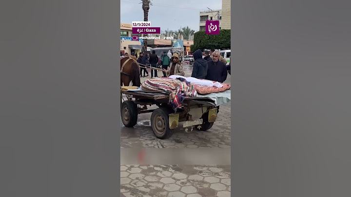 بهذه الطريقة يتم نقل الجثث في القطاع
