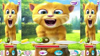 Talking Ginger Funny Cat Video 🍉🍍🍌🍎🍇🥝🌶🥒🥦🥕🍒🍭🍩🎂🍜🧀🥨🍕🍵🥥 165