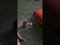 Stranded Rescuers BRAVE River Chaos to Save Everyone! #wardens #RescueMission