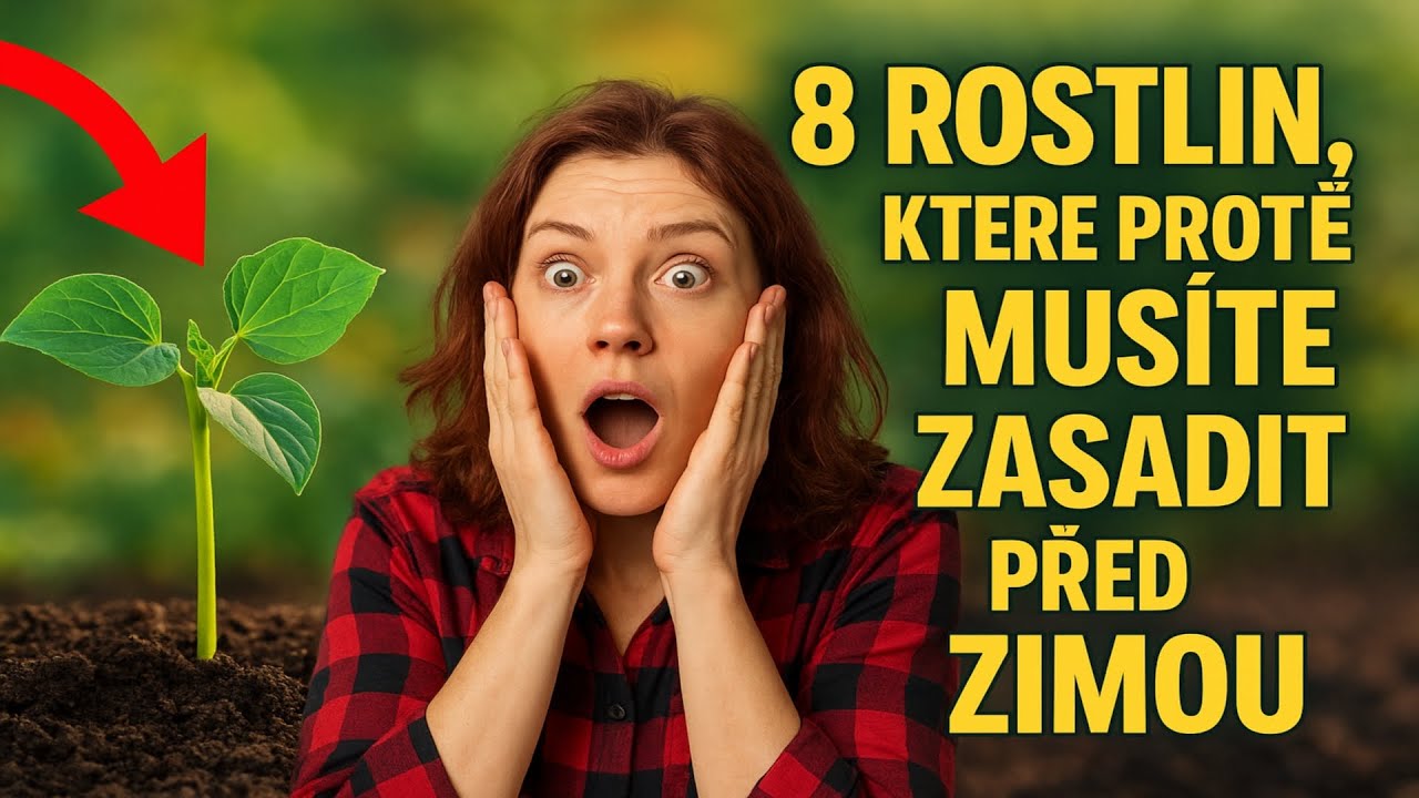 8 rostlin, které prostě MUSÍTE zasadit před zimou. Sklizeň o celý měsíc dříve než všichni! 🌿