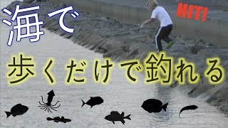 歩くだけで釣れる方法で図鑑を埋める！【魚図鑑を埋めろ４話】