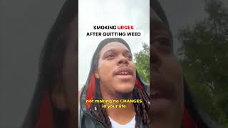 How i stopped smoking urges  after quitting weed