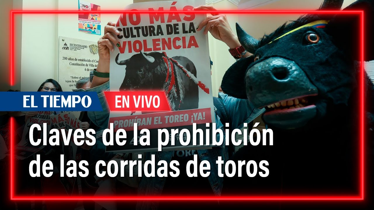 Las claves de la prohibición de las corridas de toros en Colombia | El ...