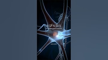 |سورة الانسان🖤|عثمان الحداد|آيات-٤-١|هَلۡ أَتَىٰ عَلَى ٱلۡإِنسَـٰنِ حِینࣱ مِّنَ ٱلدَّهۡرِ🖤|صوت#جميل#